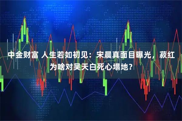 中金财富 人生若如初见：宋晨真面目曝光，菽红为啥对吴天白死心塌地？