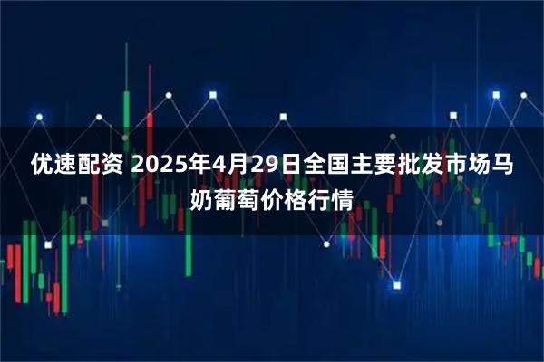 优速配资 2025年4月29日全国主要批发市场马奶葡萄价格行情