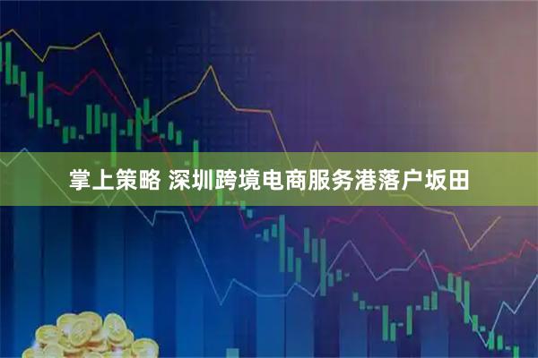 掌上策略 深圳跨境电商服务港落户坂田